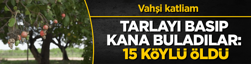 Vahşi katliam! Tarlayı basıp kana buladılar: 15 köylü öldü