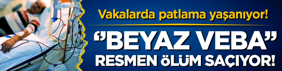 Vakalarda patlama yaşanıyor: ''Beyaz veba'' tehlike saçıyor!