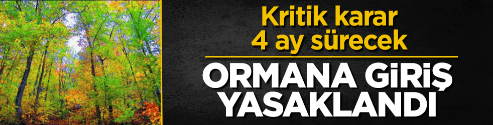 Valilik düğmeye bastı! Ormanlara girişler yasaklandı