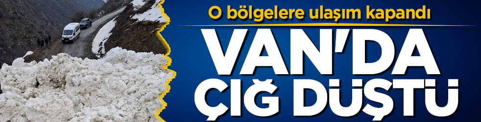 Van'da çığ düştü! O bölgelere ulaşım kapandı!
