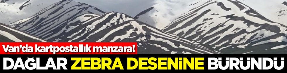 Van’da kartpostallık manzara: Dağlar zebra desenine büründü