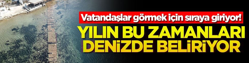 Vatandaşlar görmek için sıraya giriyor1 Yılın bu zamanları denizde beliriyor