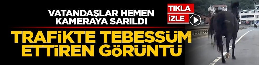 Vatandaşlar hemen kameraya sarıldı: Trafikte tebessüm ettiren görüntü