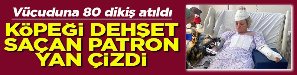 Vücuduna 80 dikiş atıldı Köpeği dehşet saçan patron yan çizdi