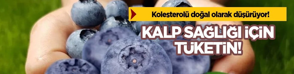 Yaban mersini masaya yatırıldı: Kötü kolesterolü düşürmeye yardımcı olarak görüyoruz! 2026’da katkısı ele alındı