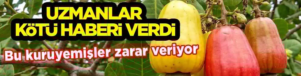 Yarar asıl zararı gizliyor mu? Karaciğer hastaları ağzına bile sürmesin! Diyet dostu sanılıyor ama…