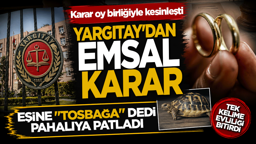 Yargıtay'dan dikkat çeken boşanma kararı! Eşine 'tosbağa' dedi, pahalıya patladı! Hakaret eden eş ağır kusurlu bulundu