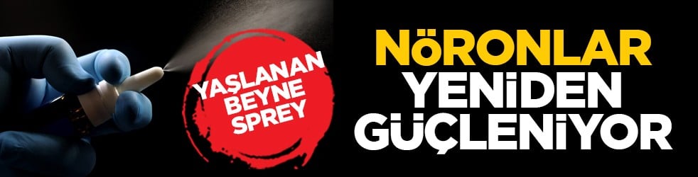 Yaşlanan Beyne Sprey: Nöronlar yeniden güçleniyor