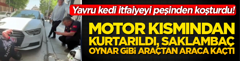 Yavru kedi itfaiyeyi peşinden koşturdu! Motor kısmından kurtarıldı, saklambaç oynar gibi araçtan araca kaçtı!