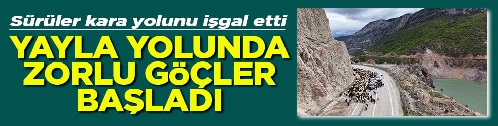 Yayla yolunda zorlu göçler başladı