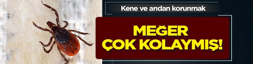Yaz ayında pikniğe gidecekler dikkat... Kene ve arıdan korunmak meğer kolaymış: O uygulama örnek gösterildi!