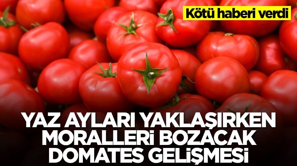 Yaz ayları yaklaşırken moralleri bozacak domates gelişmesi: Kötü haberi verdi