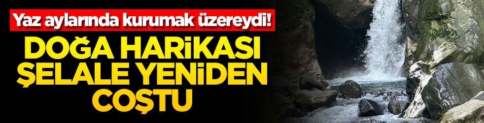 Yaz aylarında kurumak üzereydi! Doğa harikası şelale yeniden coştu