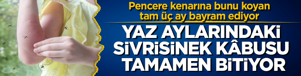 Yaz aylarındaki sivrisinek kâbusu tamamen bitiyor! Pencere kenarına bunu koyan, tam üç ay bayram ediyor