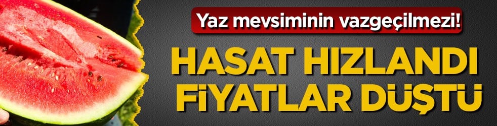Yaz mevsiminin vazgeçilmezi! Adana’da hasat hızlandı, fiyatlar düştü