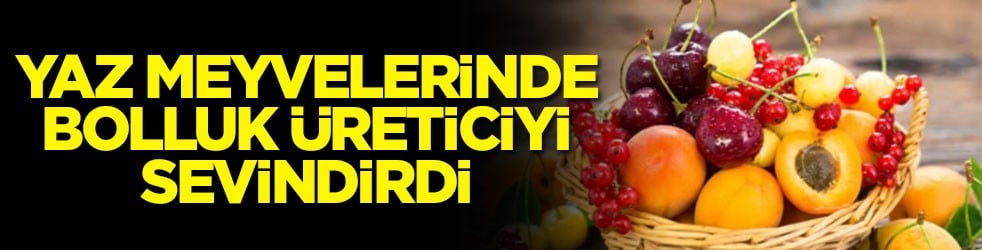 Yaz meyvelerinde bolluk üreticiyi sevindirdi