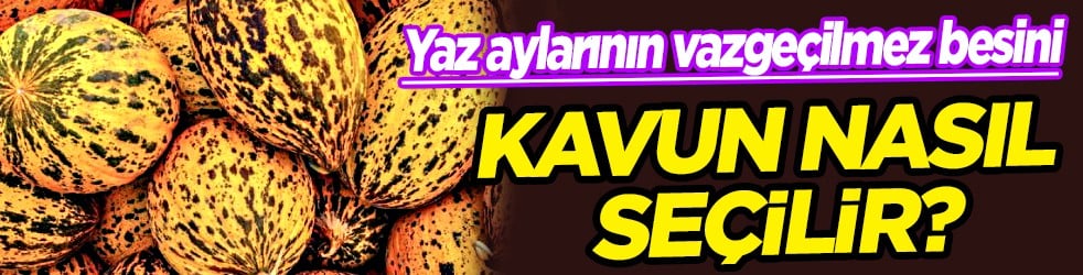 Yaz sezonunun incisi kavun nasıl seçilir! Sofların serinletici gıdası...
