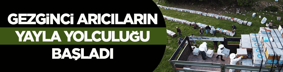 Havalar ısındı! Gezginci arıcıların yayla yolculuğu başladı