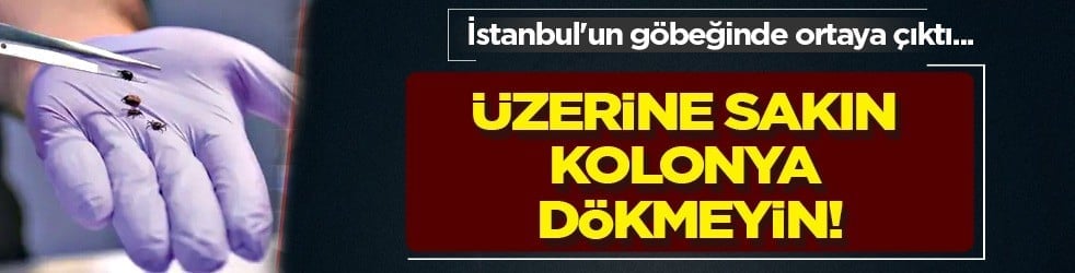 Yılan, akrep ısırmalarında kolonya dökmeyin yorumları ağızları açık bıraktı: Kafa karışıklığına yol açtı