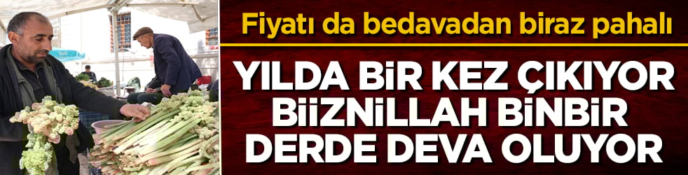 Yılda bir kez çıkıyor, biiznillah binbir derde deva oluyor! Fiyatı da bedavadan biraz pahalı