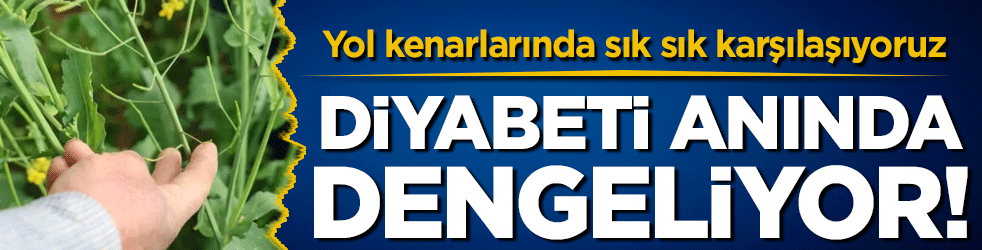 Yol kenarlarında sık sık karşılaşıyoruz: Diyabeti anında dengeliyor!