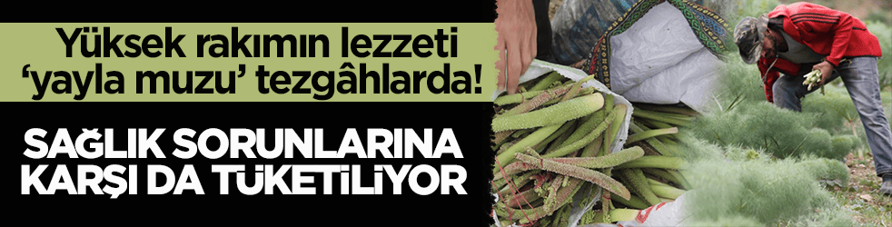 Yüksek rakımın lezzeti ‘yayla muzu’ tezgâhlarda! Sağlık sorunlarına karşı da tüketiliyor