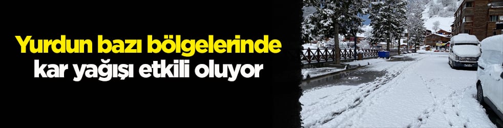 Yurdun bazı bölgelerinde kar yağışı etkili oluyor