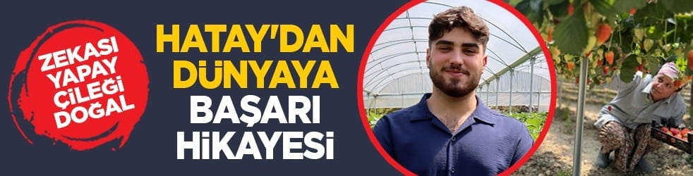Zekası yapay, çileği doğal: Hatay'dan dünyaya başarı hikayesi
