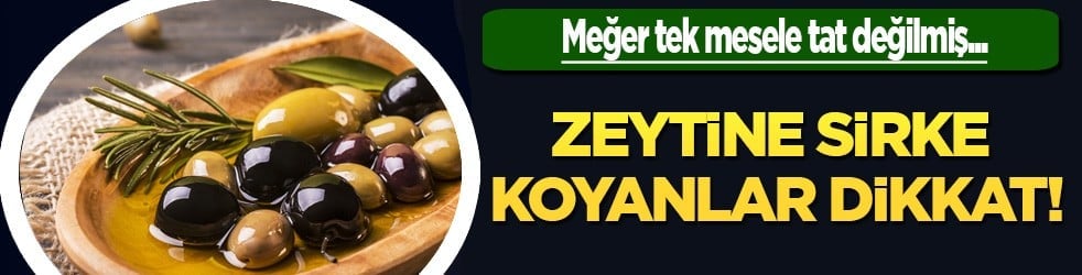 Zeytine sirke neden konulur? Meğer tek mesele tat değilmiş! Duyan 'bu nasıl olur' dedi