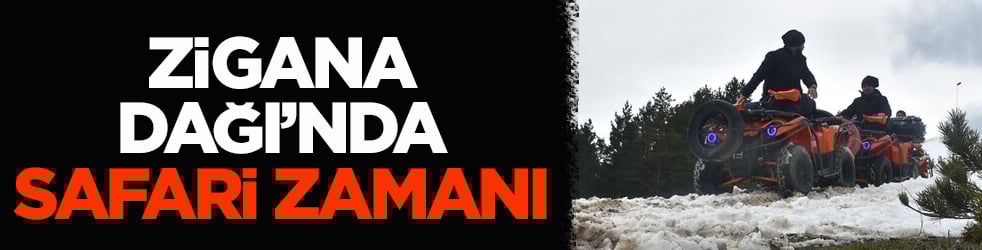 Zigana Dağı’nda safari zamanı