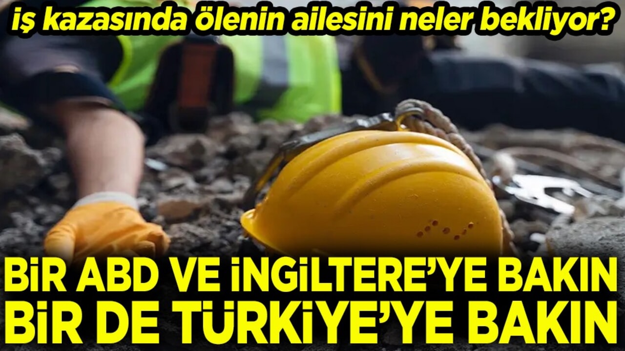 Bir ABD ve İngiltereye bakın bir de Türkiye'ye bakın