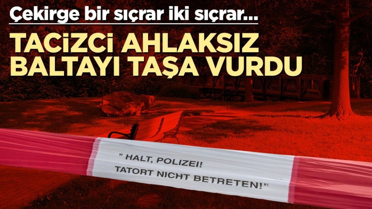 Çekirge bir sıçrar iki sıçrar… Tacizci ahlaksız baltayı taşa vurdu
