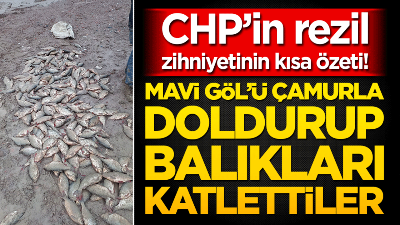 CHP’in rezil zihniyetinin kısa özeti! Mavi Göl’ü çamurla doldurup balıkları katlettiler