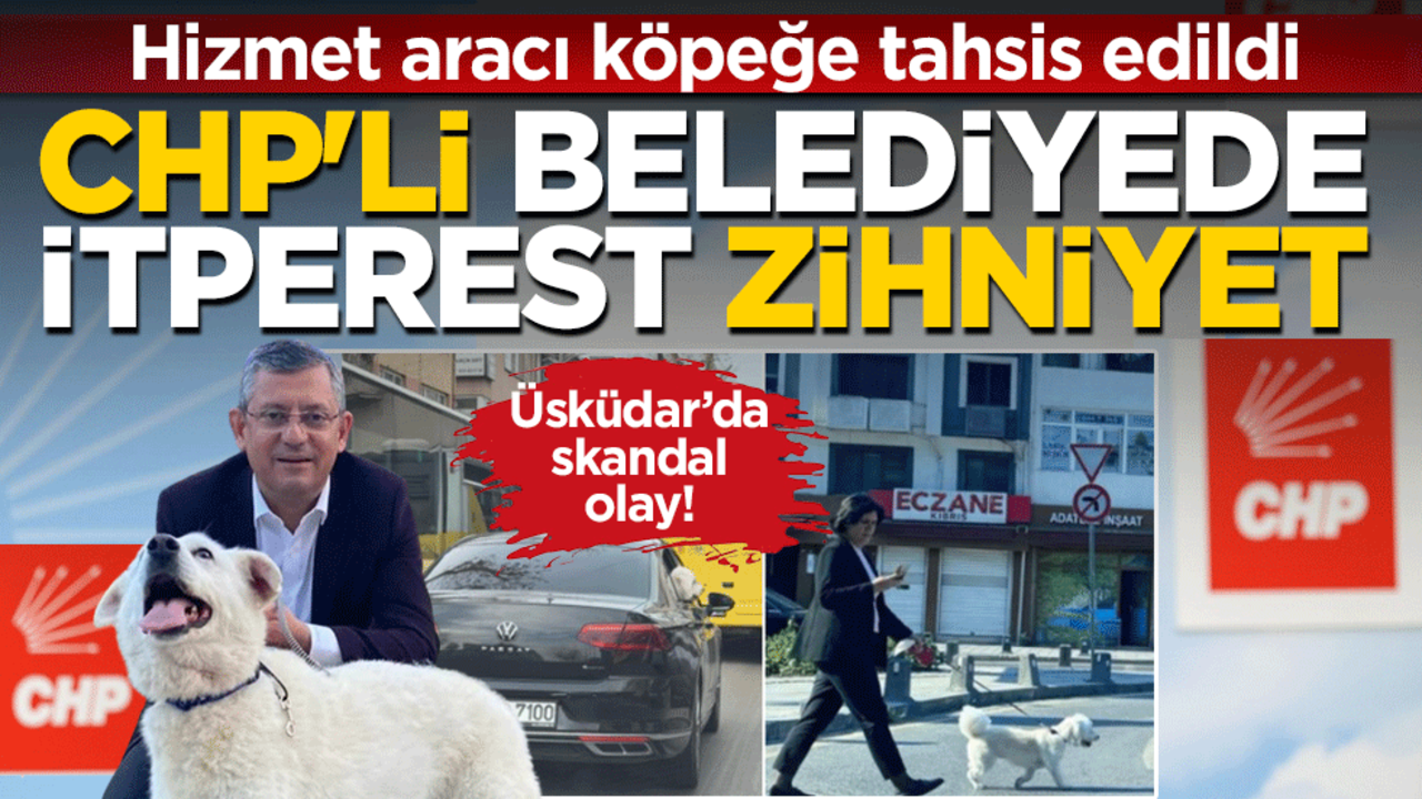 CHP'li belediyede itperest zihniyet: Hizmet aracı köpeğe tahsis edildi