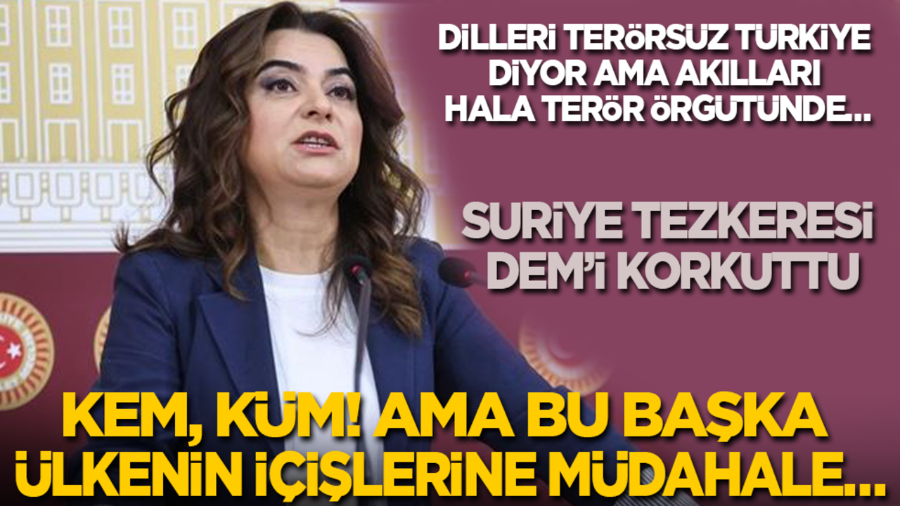 Dilleri 'Terörsüz Türkiye' diyor ama akılları hala terör örgütünde! Suriye tezkeresi DEM’i korkuttu: Kem, küm! Ama bu başka ülkenin içişlerine müdahale…