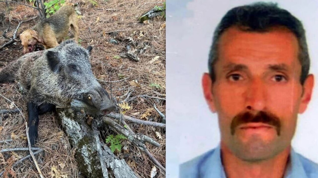 Domuz avına gitti domuz saldırısında öldü