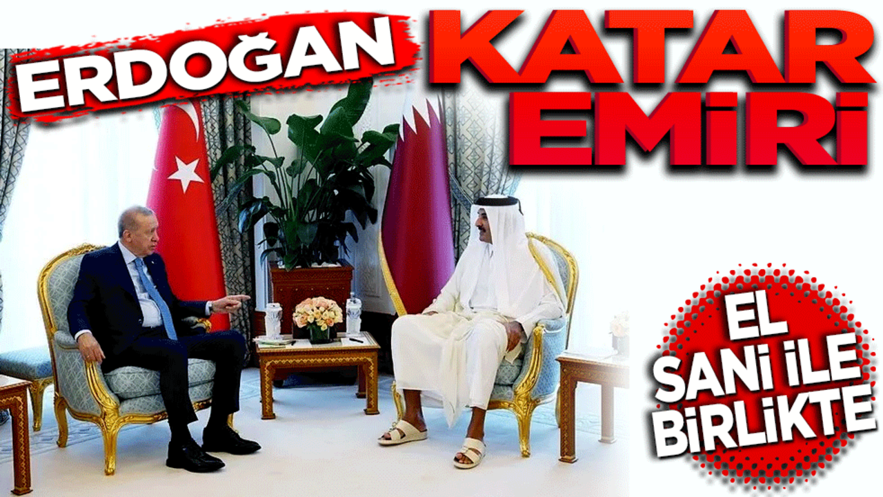 Erdoğan, Katar Emiri Al Sani ile birlikte
