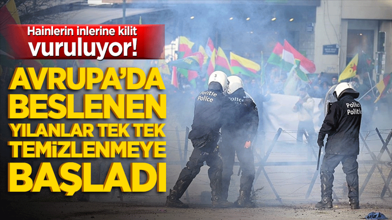 Hainlerin inlerine kilit vuruluyor! Avrupa’da beslenen yılanlar tek tek temizlenmeye başladı