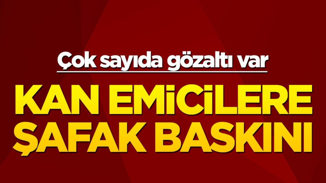 Kan emicilere şafak baskını! Çok sayıda gözaltı var