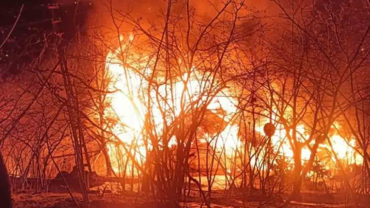 Ordu’da şüpheli ölüm: Yangın sonrası ağaçta cansız beden bulundu