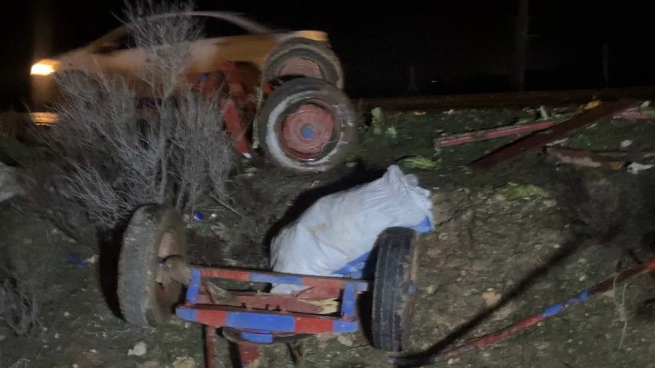 Ceylanpınar’da otomobil, at arabasına çarptı