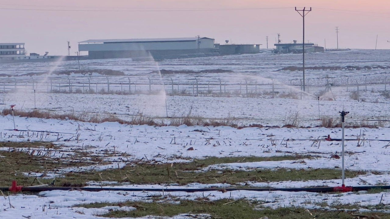 Elektrik kaçak olunca karla kaplı tarlayı bile sulamaya başladılar