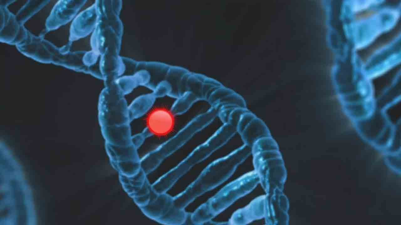 Genler ömrümüzü belirliyor: Yaşamın yarısı DNA’da