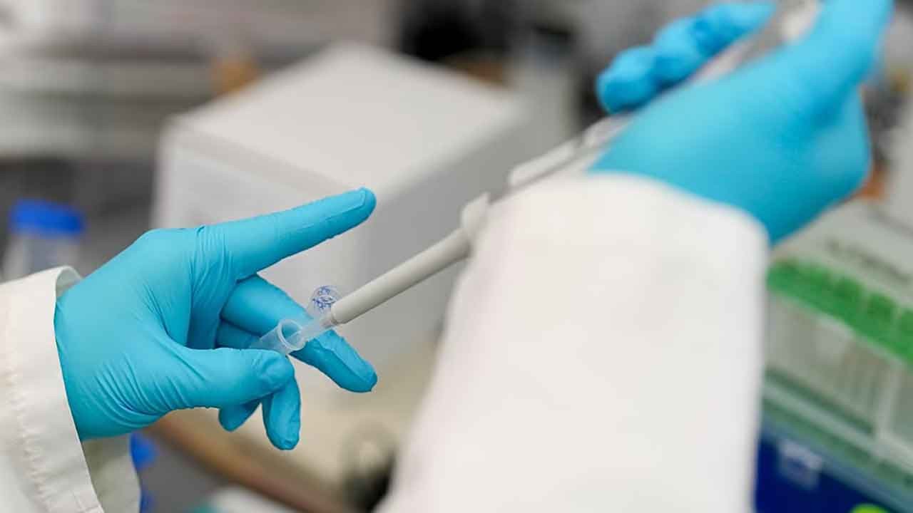 Kansere karşı tek reçete! Milyonlarca vaka sigara ve alkol bırakılarak önlenebilir