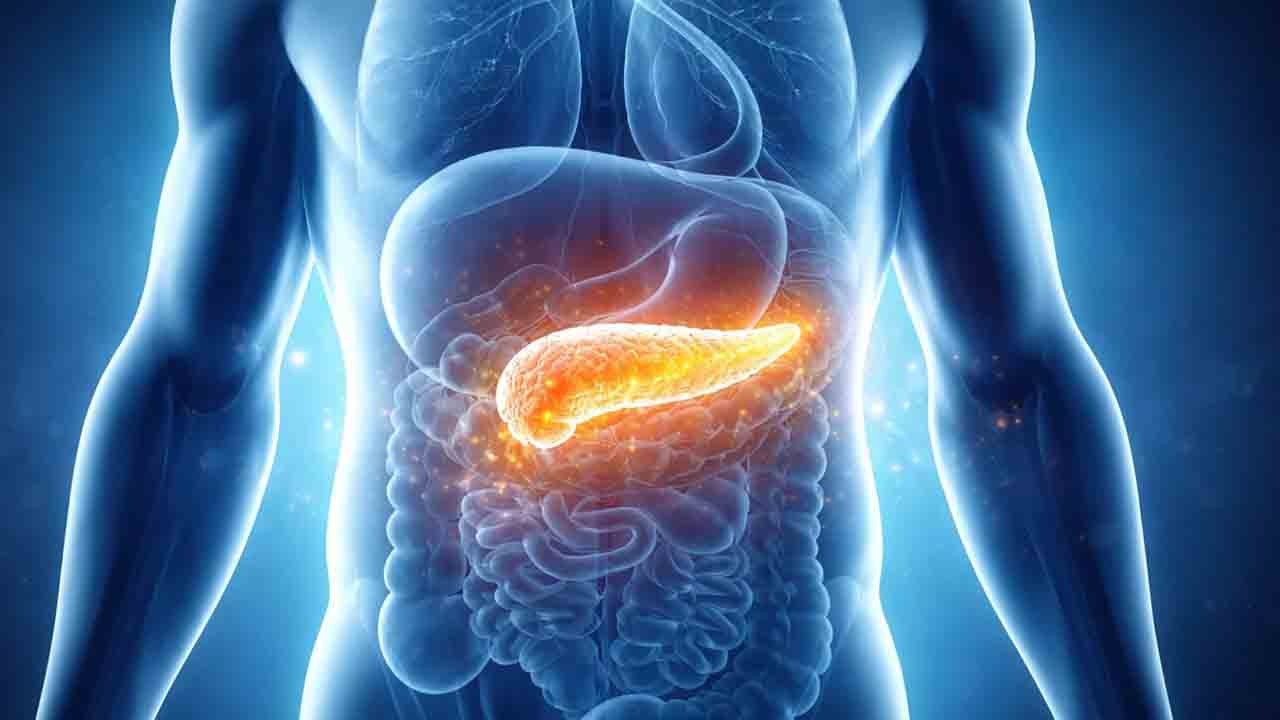 Pankreas kanserine karşı bağışıklık uyanıyor: Yeni antikor başarı sağladı