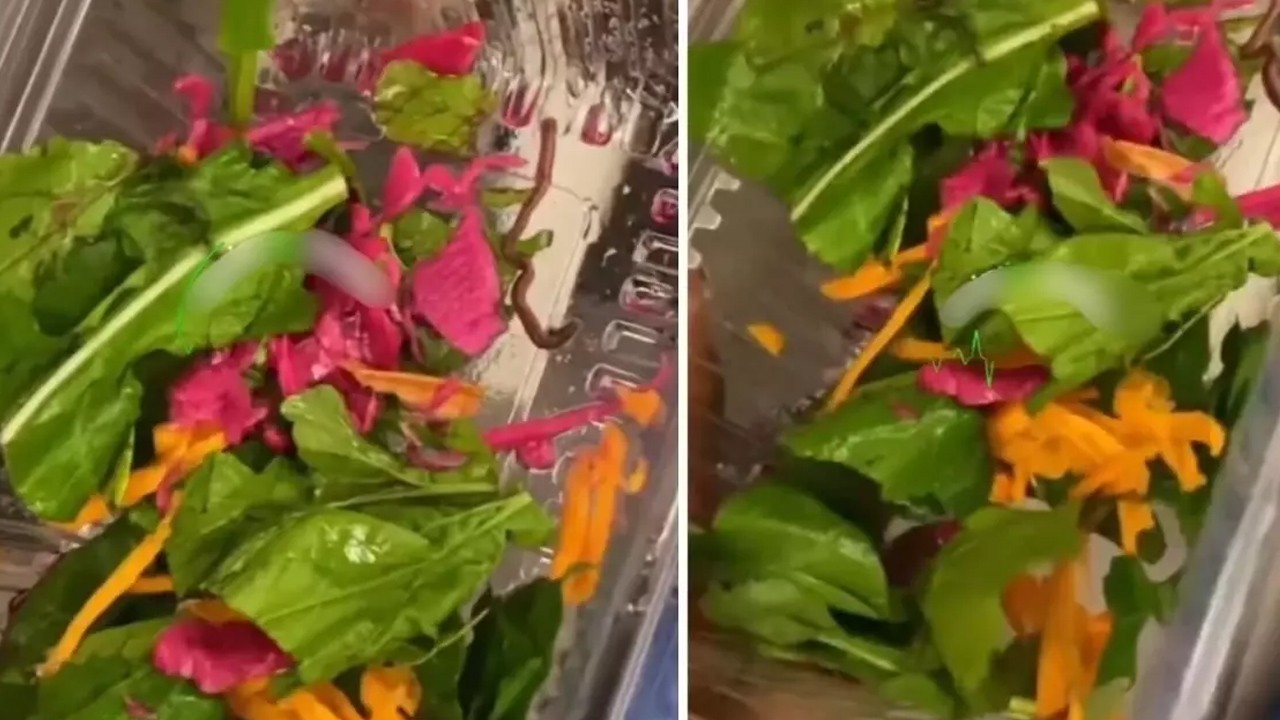 Pidecideki salatadan çıkan yok artık dedirtti: Sosyal medyadan tepki çekti 