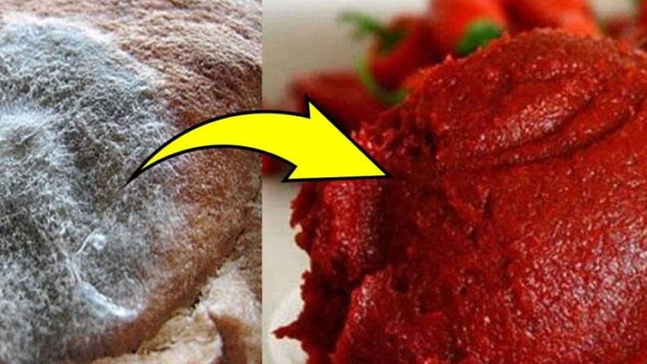 Salça küflenmesi nasıl önlenir? İşte o yolu: Alınmış gibi oluyor