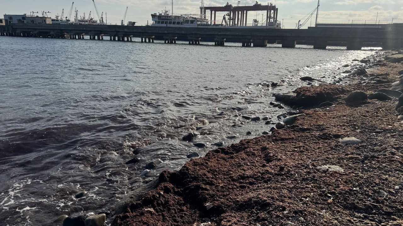 Tekirdağ'da lodos sonrası şaşırtan manzara