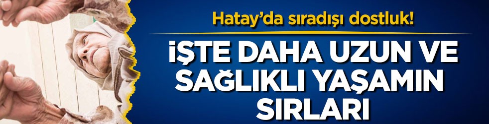 100 yaşına ulaşanların ortak özelliği ne? İşte, daha uzun ve sağlıklı yaşamın sırları