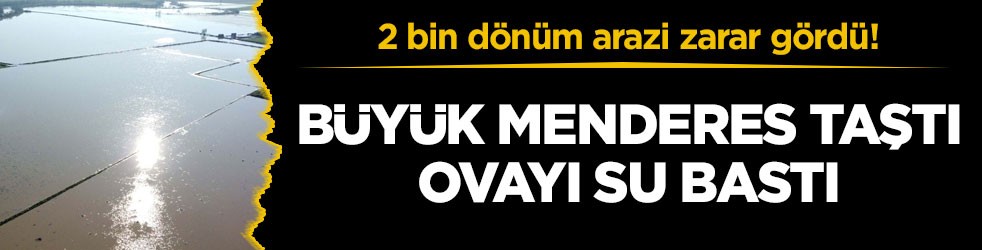 2 bin dönüm arazi zarar gördü! Büyük Menderes taştı, ovayı su bastı
